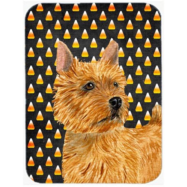 Carolines Treasures 15 x 12 in. Norwich Terrier Candy Corn Halloween Portrait Glass Cutting Board - Large - SS4292LCB