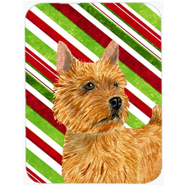 Carolines Treasures Norwich Terrier Candy Cane Holiday Christmas Glass Cutting Board - Large - SS4568LCB