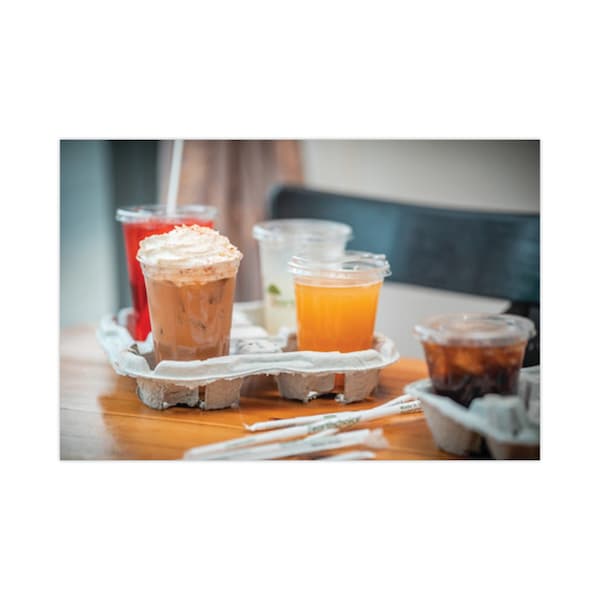 Pactiv Evergreen EarthChoice Four-Cup Carrier, 8 oz to 46 oz, Four Cups, Natural, PK132 - M5135040001