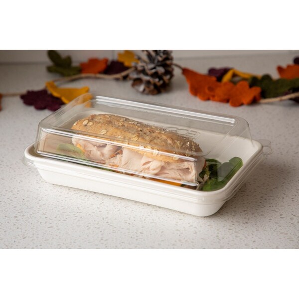 Eco-Products Worldview 100% Recycled Content Lid, 10.82 x 10.71 x 1.83, Clear, Plastic, 200PK - EP-SCRC107LID-R