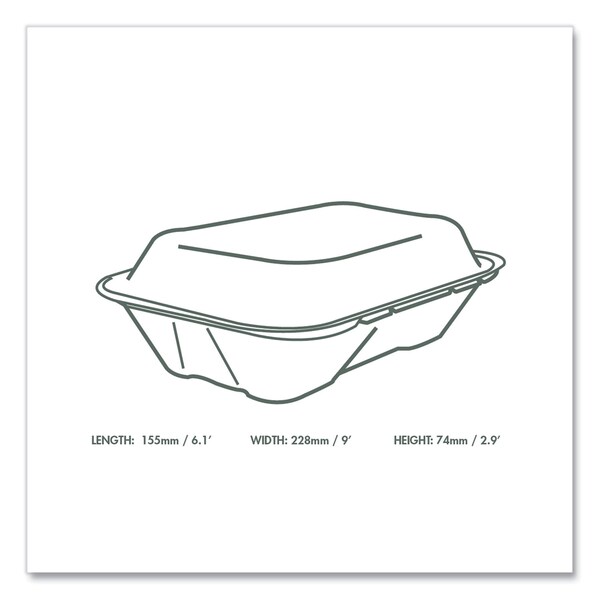 Vegware Nourish Molded Fiber Takeout Containers, 6.1 x 9 x 2.9, Natural, Sugarcane, PK200 - VA-SH89N