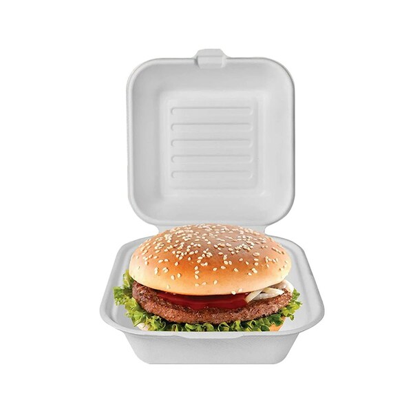 5Seconds Brand Biodegradable Sugarcane Bagasse Take out Container for Hot & Cold Food, 6inx 6in, 500PK - 410120