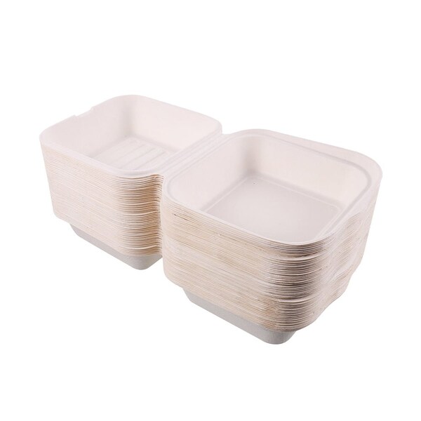 5Seconds Brand Biodegradable Sugarcane Bagasse Take out Container for Hot & Cold Food, 6inx 6in, 500PK - 410120