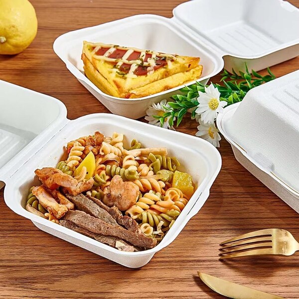 5Seconds Brand Biodegradable Sugarcane Bagasse Take out Container for Hot & Cold Food, 6inx 6in, 500PK - 410120