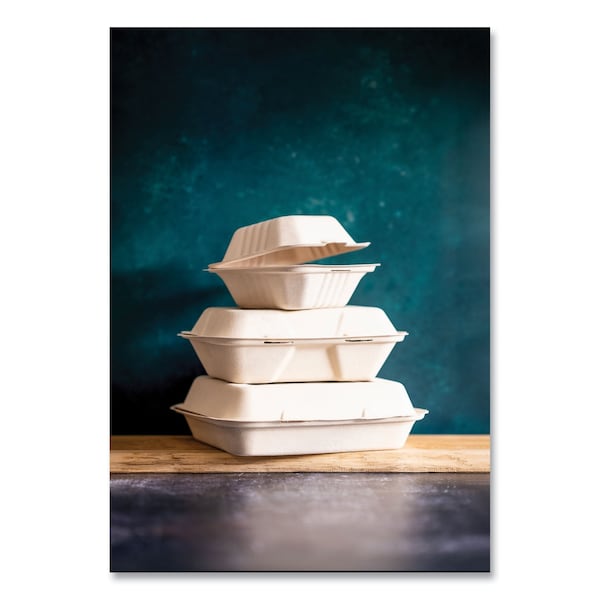 Vegware Nourish Molded Fiber Takeout Containers, 7.9 x 7.9 x 2.9, White, Sugarcane, PK200 - WH-8HW