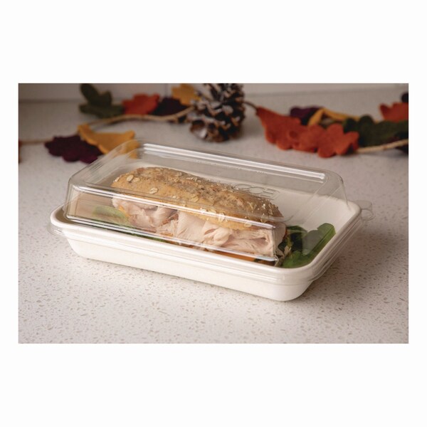 Eco-Products Vanguard Worldview Renewable Sugarcane Take-Out Containers, 10.47 x 10.47 x 1.76, White, 200PK - EP-SCRC107NFA