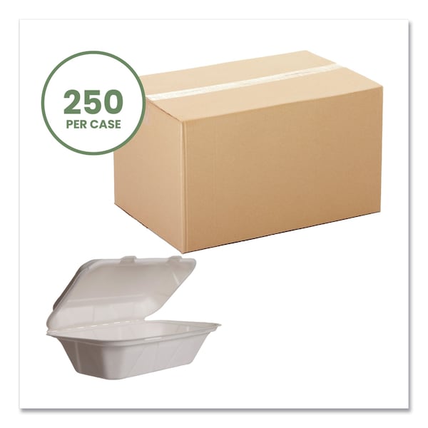 Vegware Nourish Molded Fiber Takeout Containers, 5 x 9 x 2, White, Sugarcane, PK250 - WH-HOAGIE