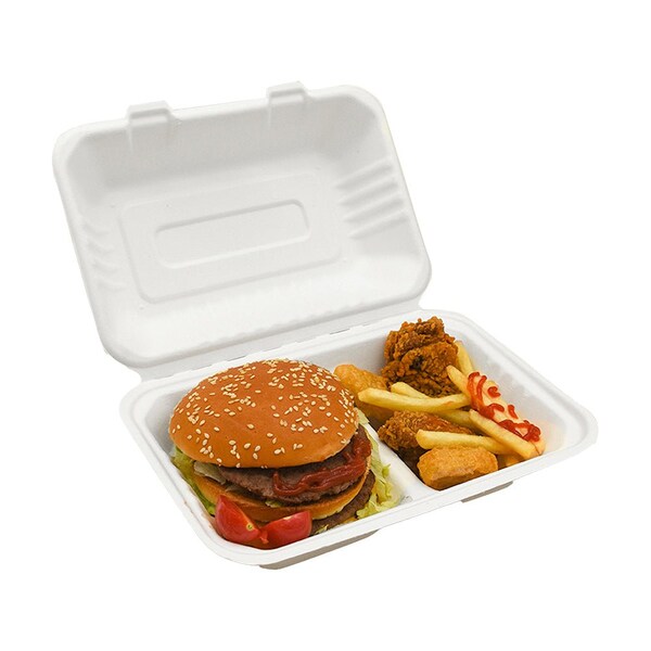 5Seconds Brand Biodegradable Sugarcane Bagasse 2 Compartment Take out Container, Hot & Cold Food, 9inx 6in, 200PK - 410112