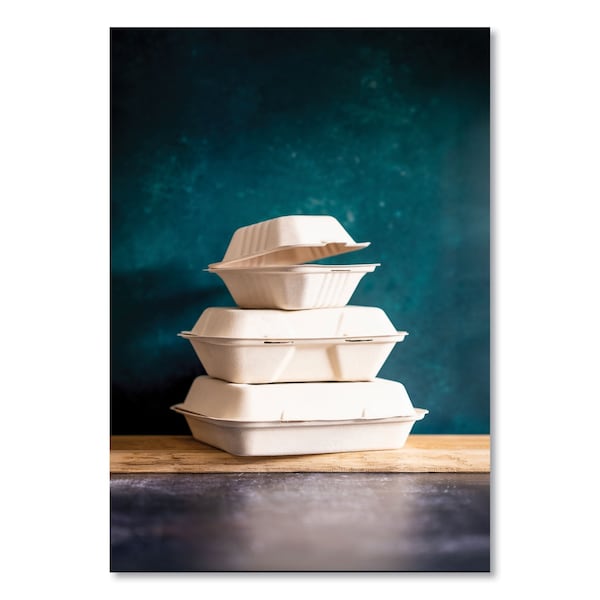 Vegware Nourish Molded Fiber Takeout Containers, 3-Compartment, 5 x 9 x 2, White, Sugarcane, PK200 - WH-9-3HW