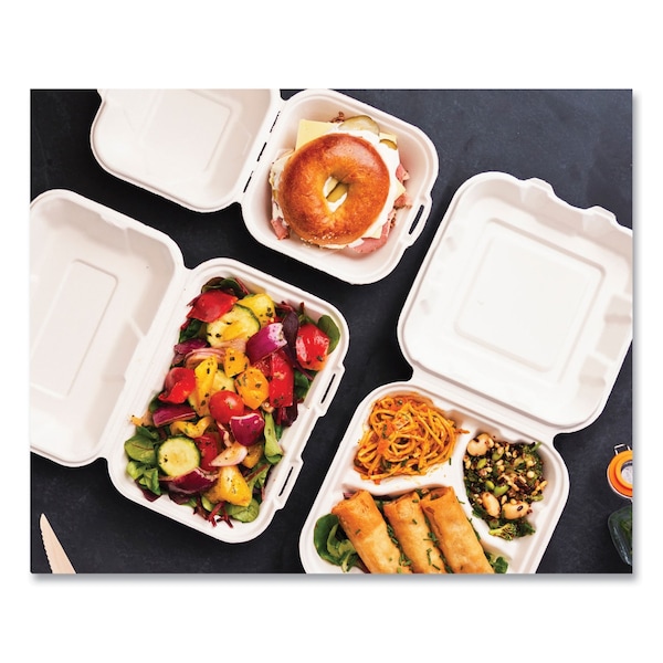 Vegware White Molded Fiber Clamshell Containers, 5.9 x 5.9 x 2.9, White, Sugarcane, PK400 - WHBRG-6 HW