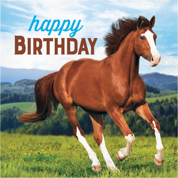 Creative Converting Wild Horse Happy Birthday Napkins, 6.5", 192PK - 339763