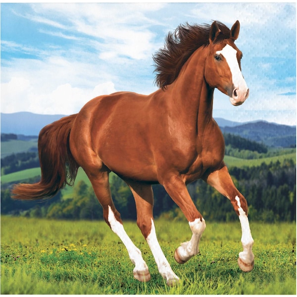 Creative Converting Wild Horse Beverage Napkins, 5"x5", 192PK - 339764
