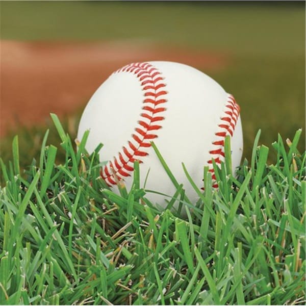 Omg Sports Fanatic Baseball Beverage Napkins, 216PK - OM308711
