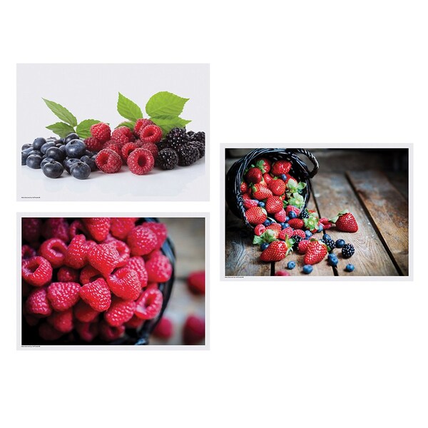 Hoffmaster 10" x 14" Berry Delight Multipack Paper Placemats, PK1000 - 702083