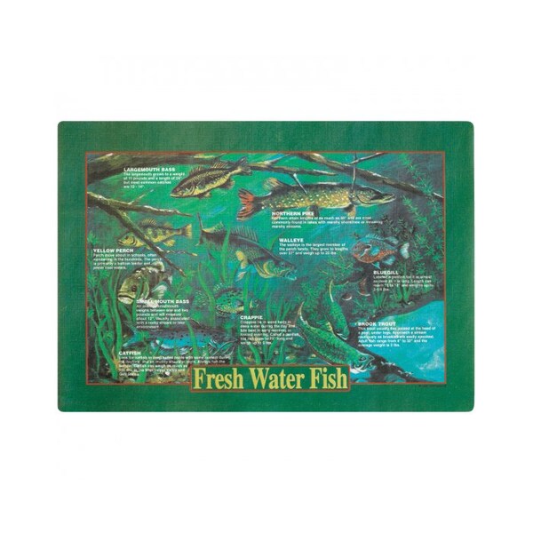 Hoffmaster 10" x 14" Salt Water Fish II Paper Placemats, PK1000 - 310981