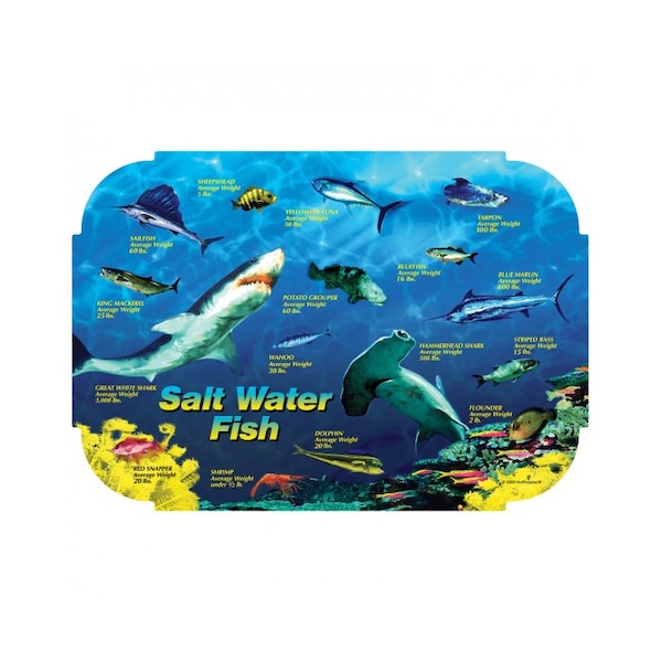 Hoffmaster 10" x 14" Salt Water Fish II Paper Placemats, PK1000 - 310981