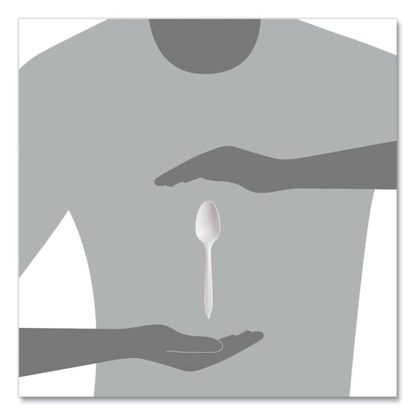 Dart Regal Mediumweight Cutlery, Full-Size, Teaspoon, White, PK1000 - S6SW