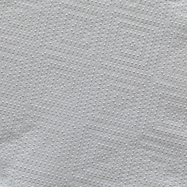 Dixie Disposable Dispenser Napkin, 5 in x 6 1/2 in Folded Size, Paper, White, PK24 - 32006