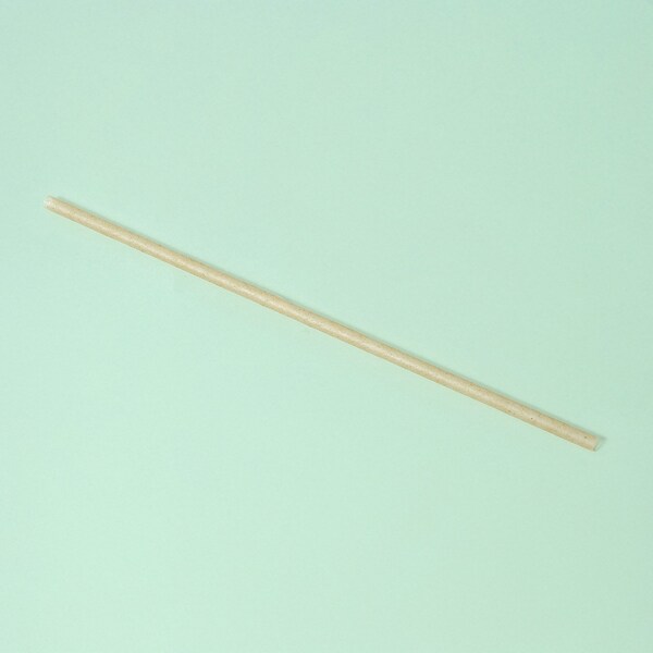 Greenprint Greenprint Agave Based Natural Agave 10" Long Straw, Paper Wrapped 2,000 ct - SNA26W