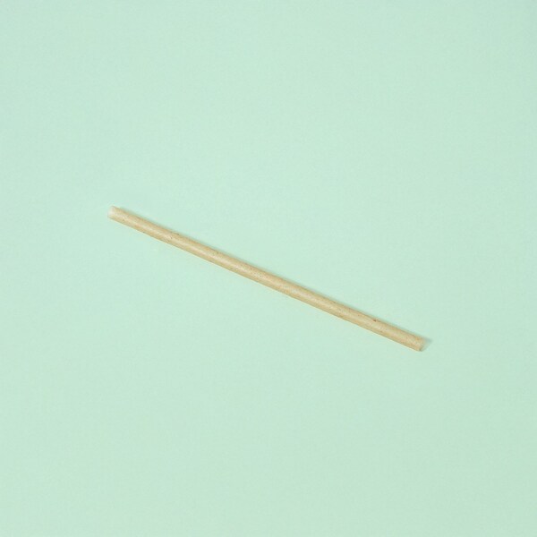 Greenprint Greenprint Agave Based Natural Agave Wide 6" Cocktail Straw, Unwrapped 1,200 ct - JNA15U