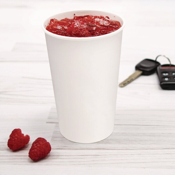 Solo Double Sided Poly DSP Paper Cold Cups, 16 oz, White, 1000PK - RP16P-2050