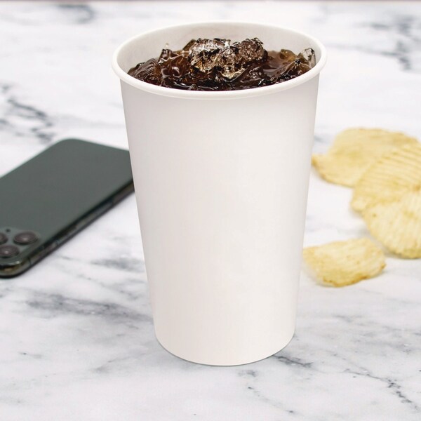 Solo Double Sided Poly DSP Paper Cold Cups, 16 oz, White, 1000PK - RP16P-2050