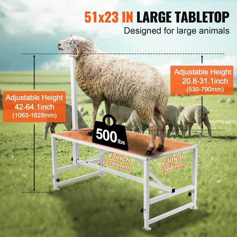 Soporte estacionario para cabras y ovejas de 64.1x47 pulgadas con capacidad de carga de 500 lbs. Blanco con altura ajustable de 21 a 33 pulgadas - SCXJJBSYTM47JNHGXV0