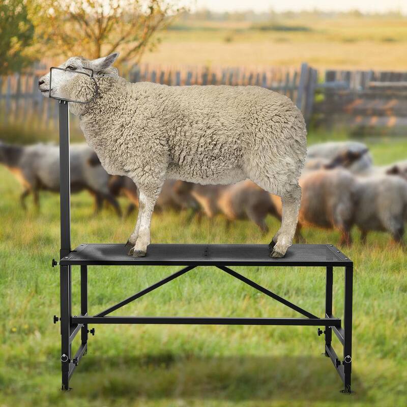 Soporte estacionario para cabras y ovejas de 64.1 pulgadas x 47 pulgadas con capacidad de carga de 500 lbs negro, altura ajustable de 21 a 33 pulgadas - SCXJJHSYTM47HMU08V0