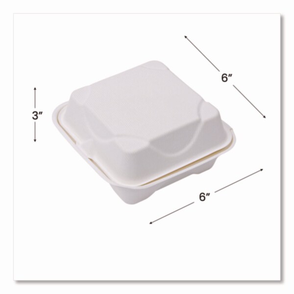 Eco-Products GreenStripe Renewable/Compost Cold Cup Flat Lids, for 9-24 oz, PK1000 PK - EP-FLCC