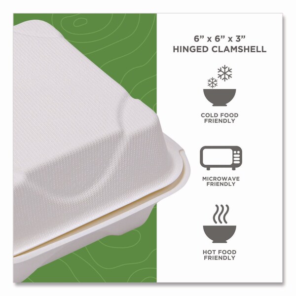 Eco-Products GreenStripe Renewable/Compost Cold Cup Flat Lids, for 9-24 oz, PK1000 PK - EP-FLCC