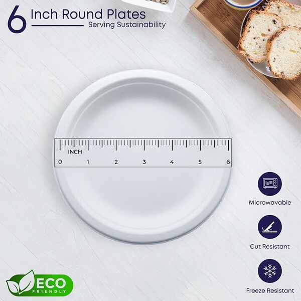 5Seconds Brand Biodegradable Sugarcane Baggase 6in Round Plate for Hot and Cold Food, 1000PK - 410113