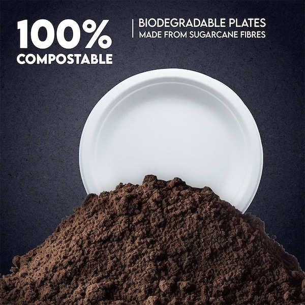 5Seconds Brand Biodegradable Sugarcane Baggase 6in Round Plate for Hot and Cold Food, 1000PK - 410113