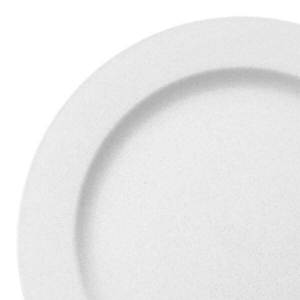 Smarty Had A Party 10" Matte Milk White Round Disposable Plastic Dinner Plates (120 Plates), 120PK - 4850WH-CASE