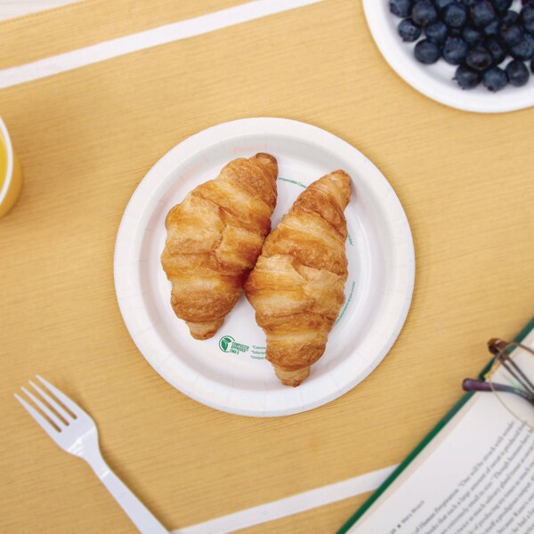 Solo Compostable Paper Dinnerware, ProPlanet Seal, Plate, 6in dia, White, 500PK - OFMP6-PLANET