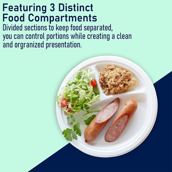 5Seconds Brand Biodegradable Sugarcane Baggase 3 Compartment Plate for Hot & Cold Food, 10in, 500PK - 410114