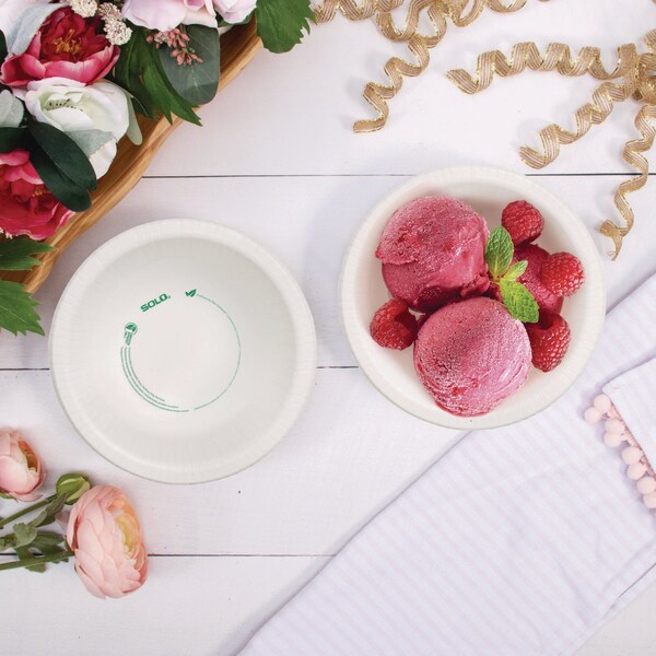 Solo Compostable Paper Dinnerware, ProPlanet Seal, Bowl, 12 oz, White, 1000PK - HB12-PLANET