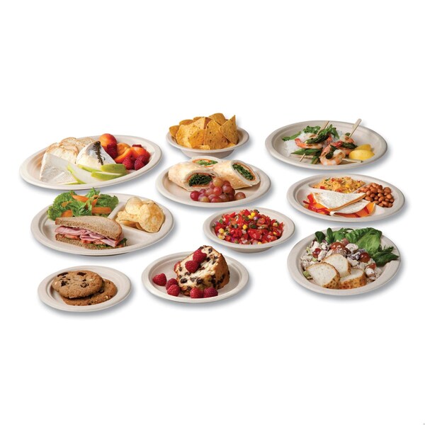 Vegware Nourish Molded Fiber Tableware, Compostable, Platter, Sugarcane, 8 x 10, White, 500PK - VW-P009NFA