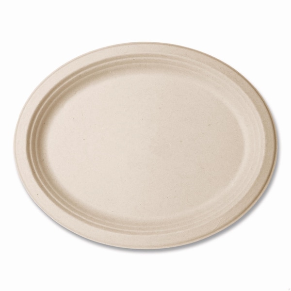 Vegware Nourish Molded Fiber Tableware, Compostable, Platter, Sugarcane, 8 x 10, White, 500PK - VW-P009NFA