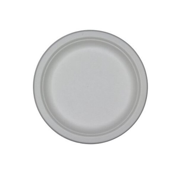 Asean P005 10 inch plate - 500 pcs, 500PK - P005-NIA