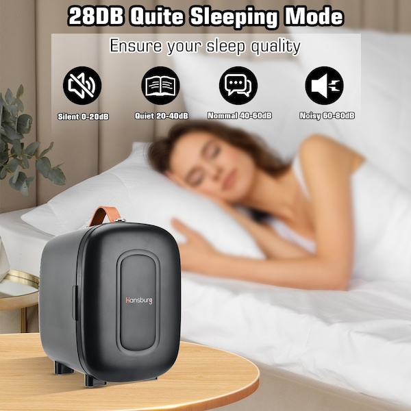 Hansburg Mini Fridge for Car Bedroom Skincare Cooler Warmer Portable 4 Liter/6 Can with 12v AC/DC/USB Black - MF-4-BLACK