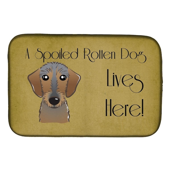 Carolines Treasures Wirehaired Dachshund Spoiled Dog Lives Here Dish Drying Mat - BB1481DDM