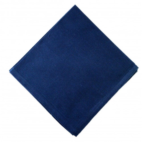 Mr. Mjs Trading AG-20321S-4 Napkins, Navy Blue - Set of 4 - AG-20321S/4