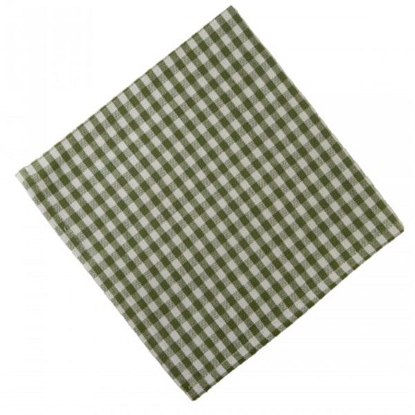 Mr. Mjs Trading AG-20293S-4 Napkins, Toro Green Check - Set of 4 - AG-20293S/4