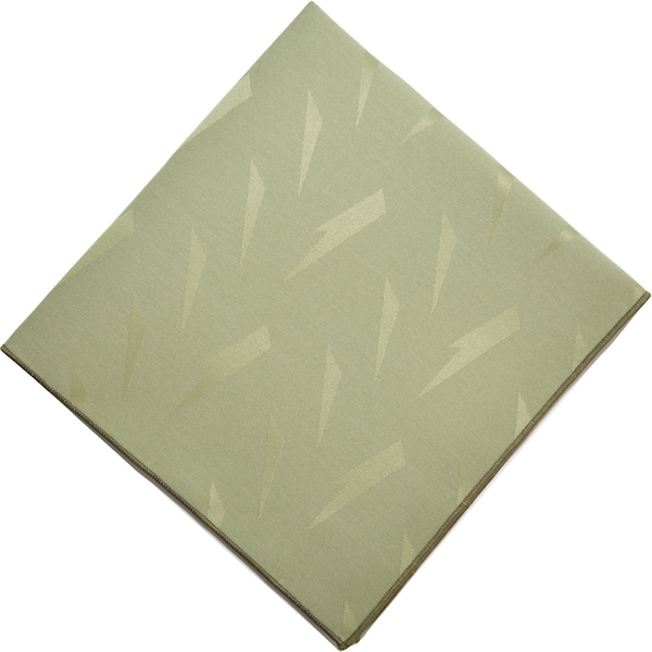 Carlisle Foodservice Aspen Damask Napkin, 17"x17", Sage, PK12 - 53931717NM147