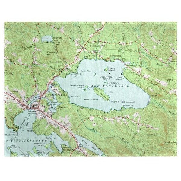 Betsy Drake Betsy Drake PM654 14 x 18 in. Lake Wentworth; NH Nautical Map Place Mat - Set of 4 - PM654