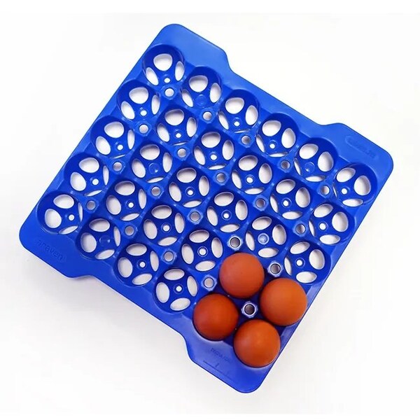 Araven GN 2/3 Airtight Container with 4 Egg Trays, 6PK - 70378