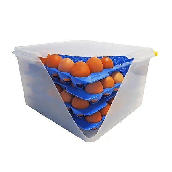 Araven GN 2/3 Airtight Container with 4 Egg Trays, 6PK - 70378