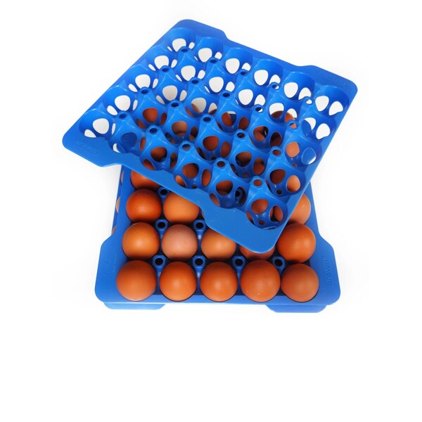 Araven GN 2/3 Airtight Container with 4 Egg Trays, 6PK - 70378