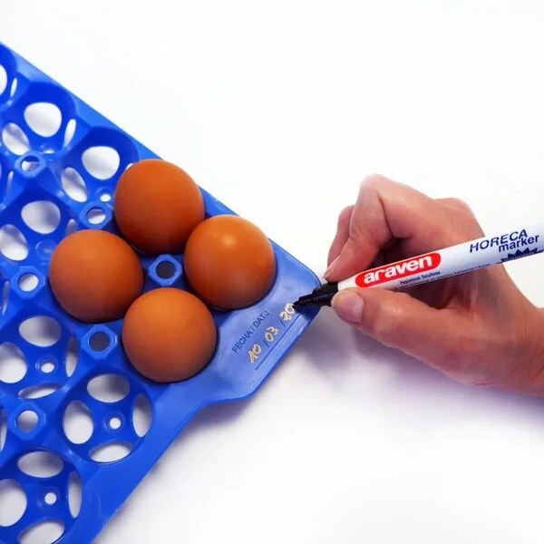 Araven GN 2/3 Airtight Container with 4 Egg Trays, 6PK - 70378