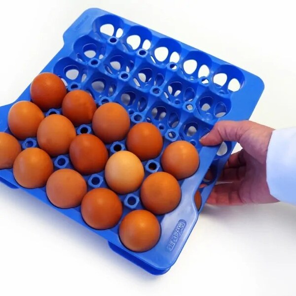 Araven GN 2/3 Airtight Container with 4 Egg Trays, 6PK - 70378
